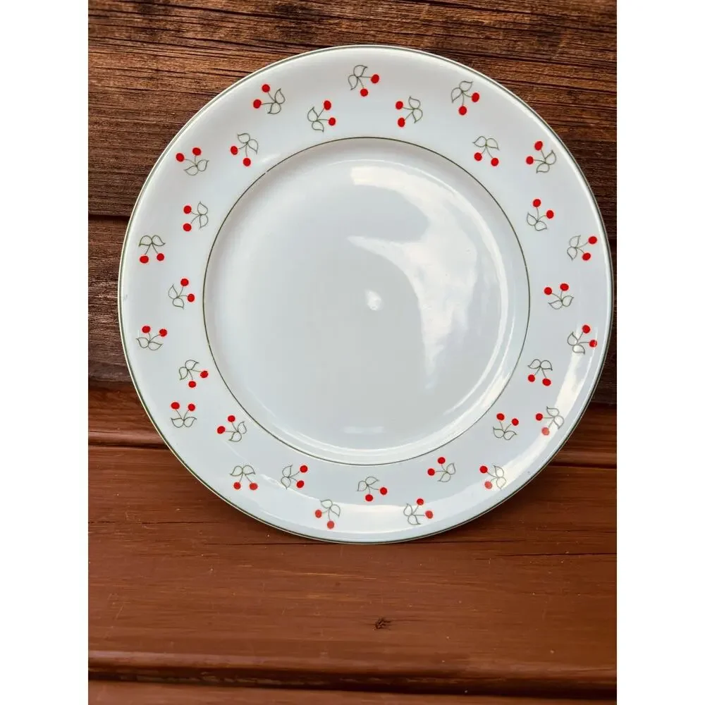 Vintage Porcelana Schmidt Brasil Cherry Pattern Dinnerware Set 16pc